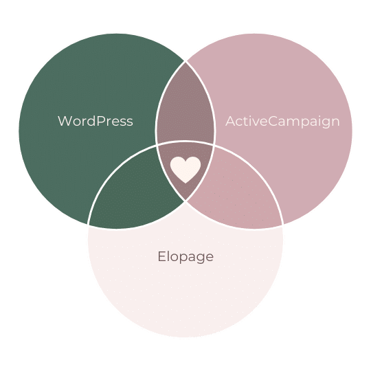 Venn Diagramm Tools