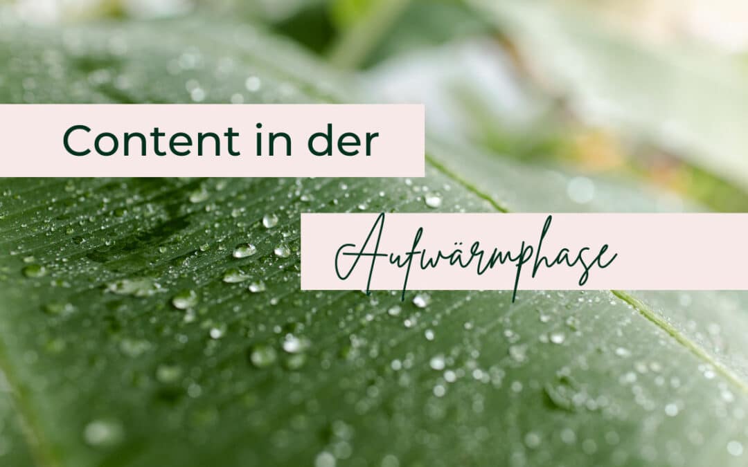 Diesen Content musst du in der Aufwärmphase deines Onlinekurs Launches erstellen