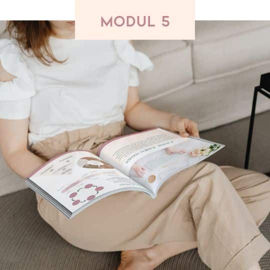 Modul 5