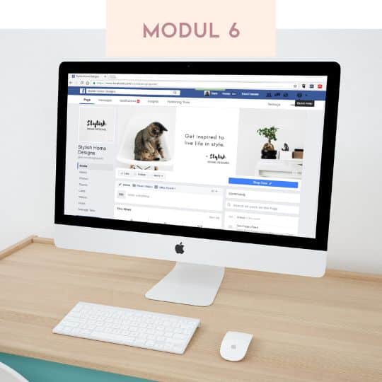 Modul 6